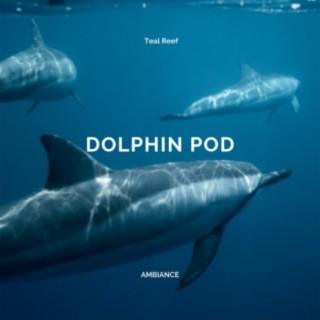 Dolphin Pod