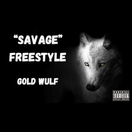Savage Freestyle snippet