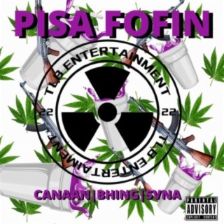 PISA FOFIN