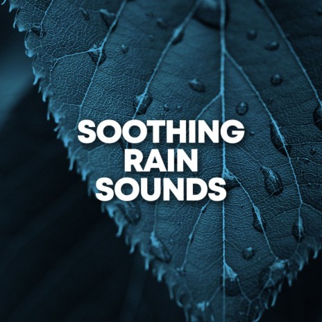 Fresh Rain Drops | Boomplay Music