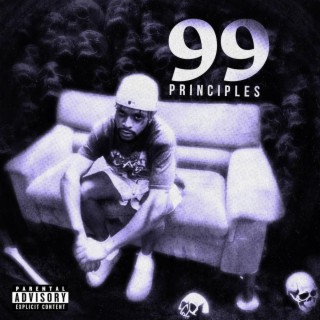 99 Principles lyrics | Boomplay Music