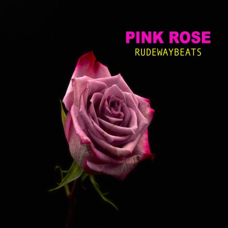 Pink Rose | Boomplay Music