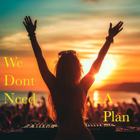 We Dont Need A Plan | Boomplay Music