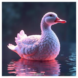 Duck Season (Songs 2)