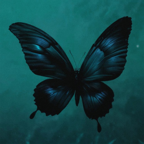 butterfly effect (Spedup) ft. vishæs | Boomplay Music