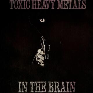 Toxic Heavy Metals In The Brain