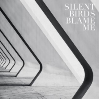 Blame Me