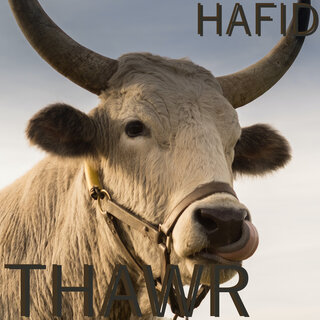 Thawr