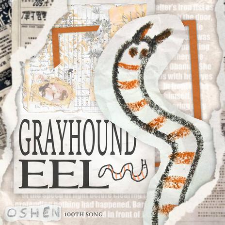 Grayhound Eel