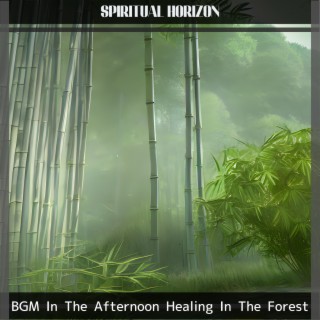 BGM In The Afternoon Healing In The Forest