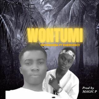 Wontumi