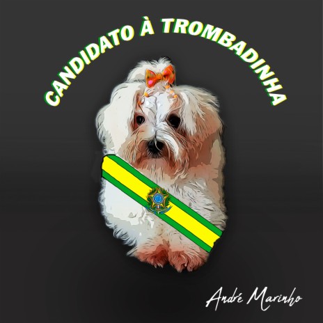 Candidato à Trombadinha | Boomplay Music