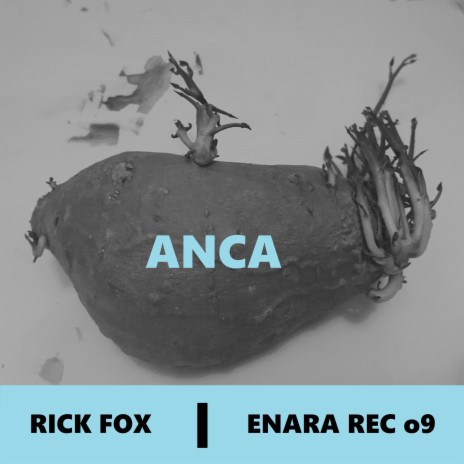 Anca | Boomplay Music