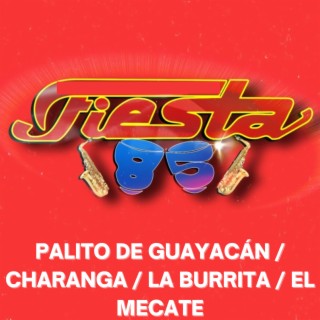 Palito De Guayacán / Charanga / La Burrita / El Mecate (En Vivo)