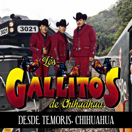 Popurri Gallitos #1 | Boomplay Music