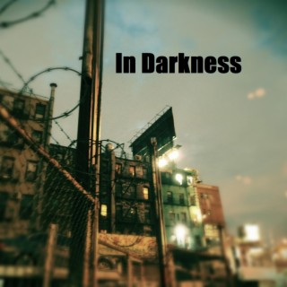 In Darkness