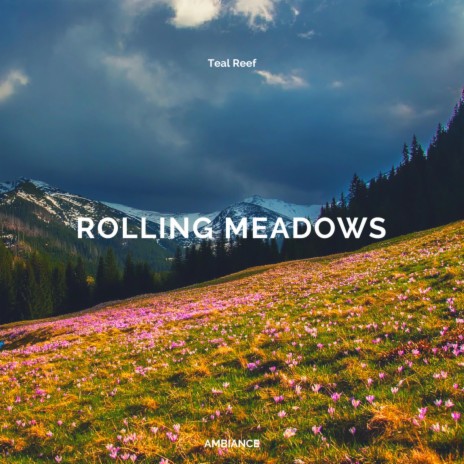 Rolling Meadows | Boomplay Music