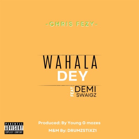 WAHALA DEY ft. Demi Swaigz | Boomplay Music