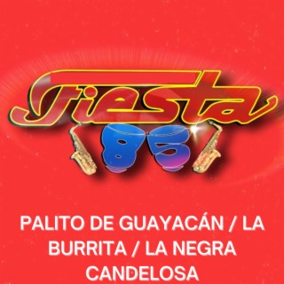 Palito De Guayacán / La Burrita / La Negra Candelosa (En Vivo)