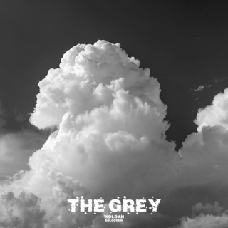 The Grey