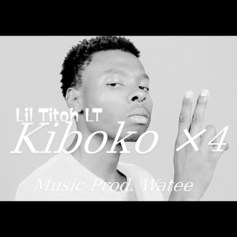 Kiboko ×4 | Boomplay Music