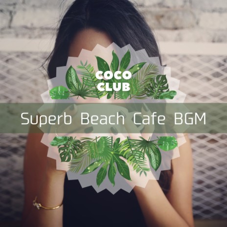 Seagull Cafe | Boomplay Music