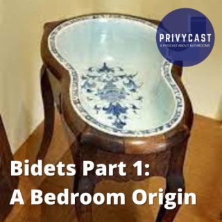 Bidets Part 1: A Bedroom Origin