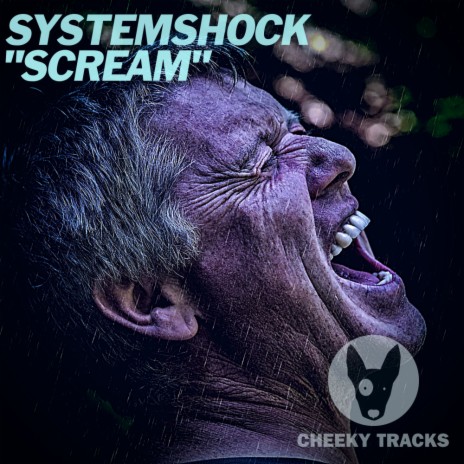 Scream (Radio Edit) | Boomplay Music