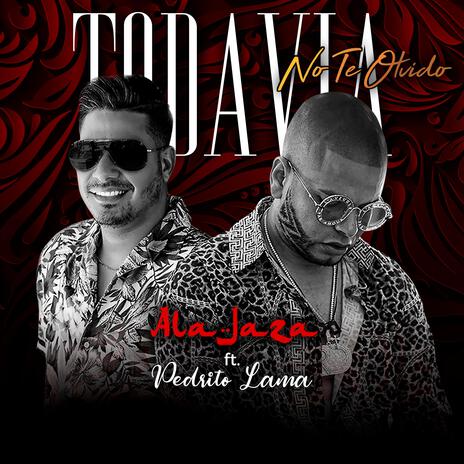 Todavia No Te Olvido ft. Pedrito Lama | Boomplay Music