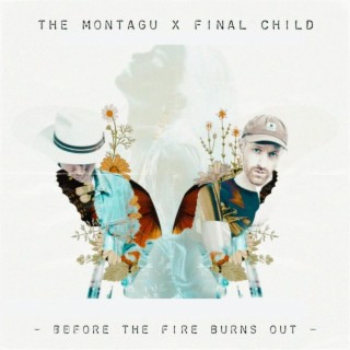 Before The Fire Burns Out ft. Final Child lyrics | Boomplay Music