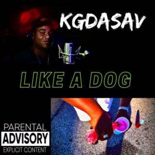Like A Dog lyrics | Boomplay Music