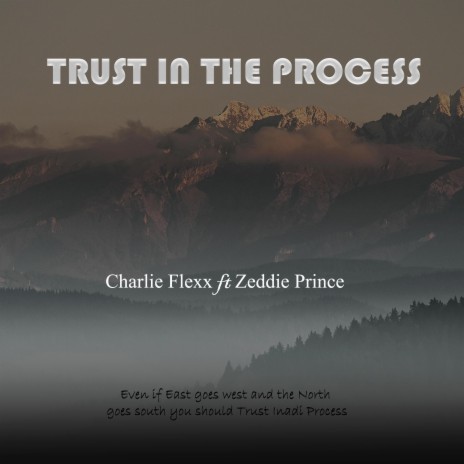 Trust In The Process ft. Zeddie Prince