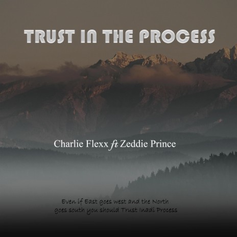 Trust In The Process ft. Zeddie Prince | Boomplay Music