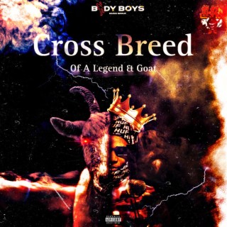 The Cross Breed