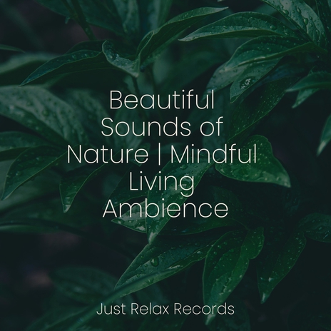 Enigmatic Gust of Love ft. Relaxing Mindfulness Meditation Relaxation Maestro & Meditación | Boomplay Music