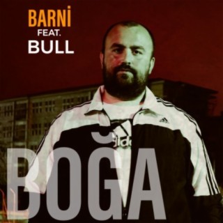 Boğa