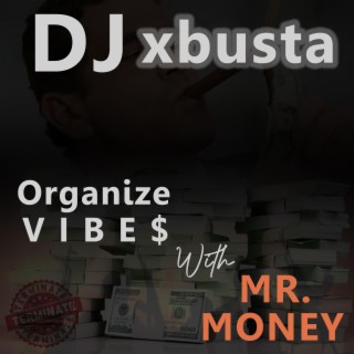 Organize vibe$ with Mr. Money