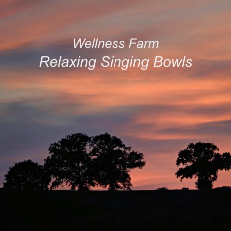 Relaxing Singing Bowls (Brook Version) | Boomplay Music