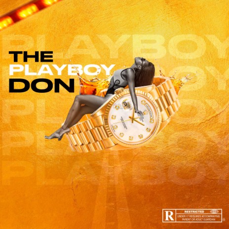 The Playboy Don | Boomplay Music