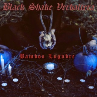 Black Shake Verbaltera