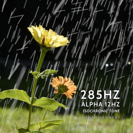 285hz Alpha 12hz Iso Tone