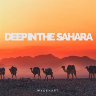 Deep in the Sahara