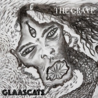 Glaascats