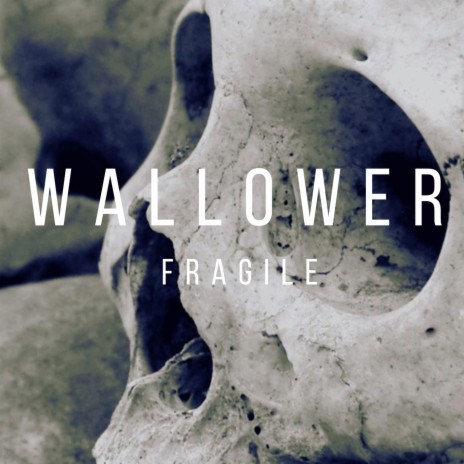 Fragile | Boomplay Music