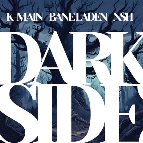 Dark Side ft. Bane Laden & FPB N$H | Boomplay Music