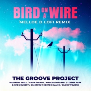 Bird On a Wire (Melloe D LoFi Remix)