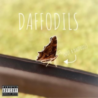 Daffodils lyrics | Boomplay Music