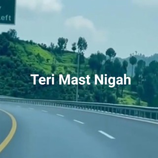 TERI MAST NIGAH lyrics | Boomplay Music