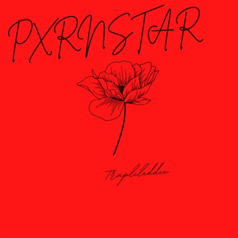 PXRNSTAR | Boomplay Music