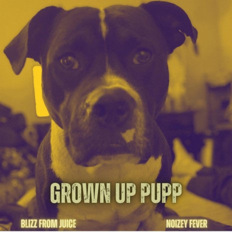 Grown Up Pupp ft. Blizz From Juice | Boomplay Music